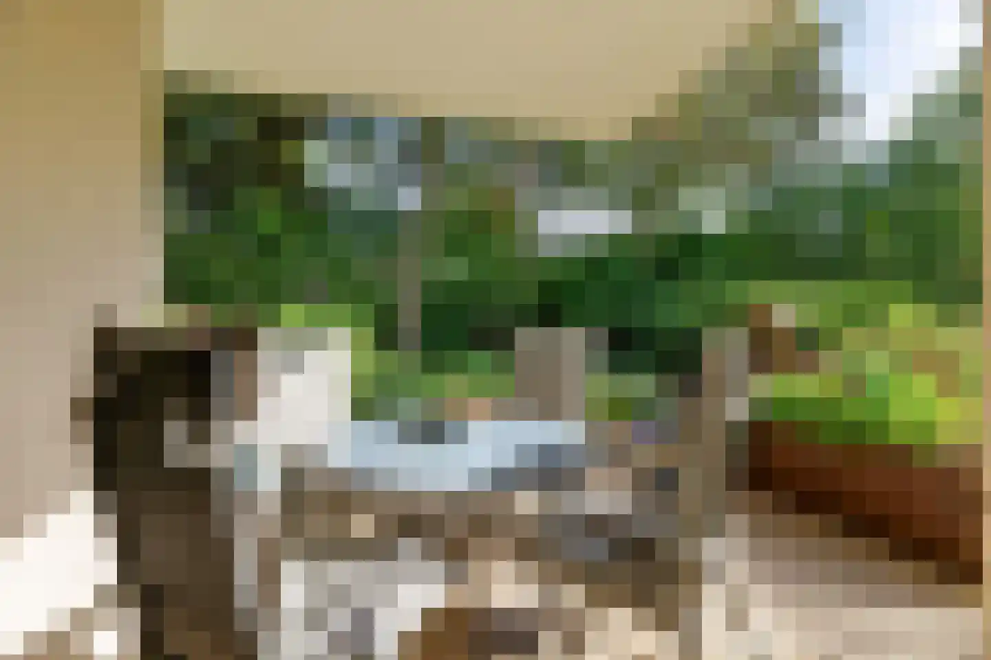 Peter Benensonstraat 10 Goirle thumbnail 5