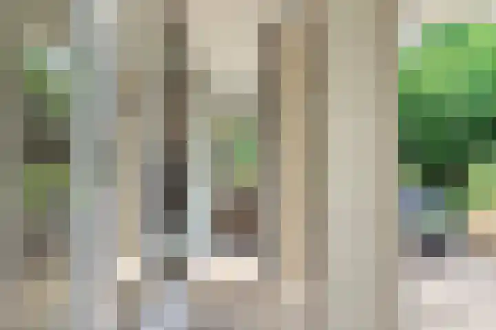 Peter Benensonstraat 11 Goirle thumbnail 11