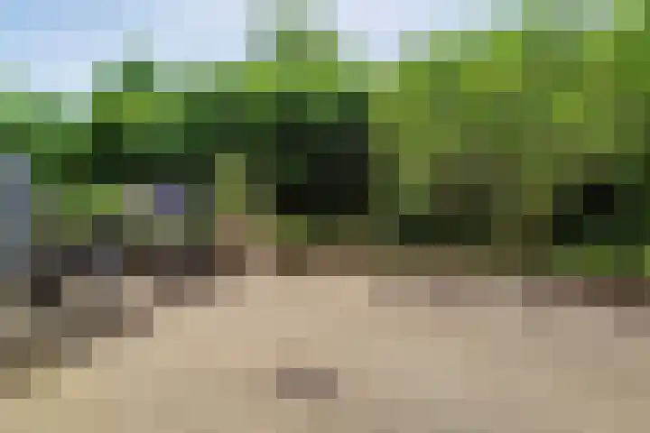 Peter Benensonstraat 11 Goirle thumbnail 13