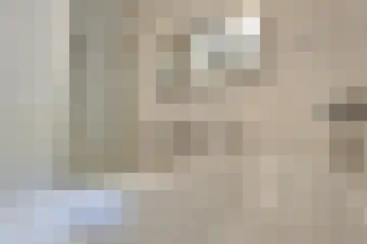 Peter Benensonstraat 11 Goirle thumbnail 22