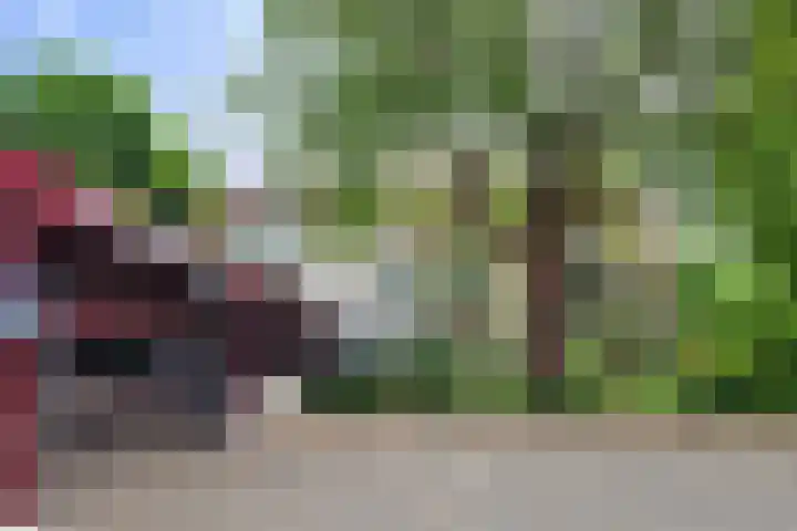 Peter Benensonstraat 11 Goirle thumbnail 33