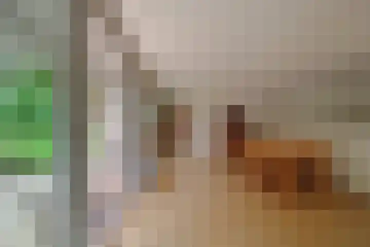 Peter Benensonstraat 11 Goirle thumbnail 4