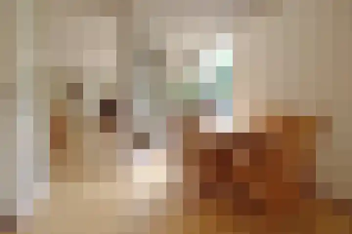 Peter Benensonstraat 11 Goirle thumbnail 6