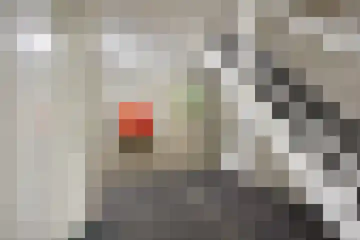 Peter Benensonstraat 7 Goirle thumbnail 10