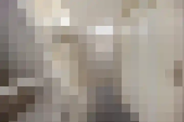 Peter Benensonstraat 7 Goirle thumbnail 11
