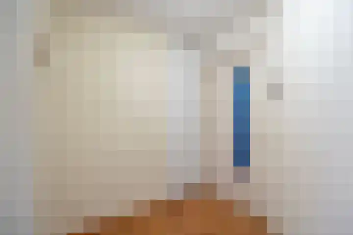 Peter Benensonstraat 7 Goirle thumbnail 13