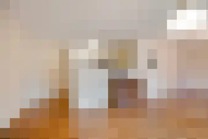 Peter Benensonstraat 7 Goirle thumbnail 18