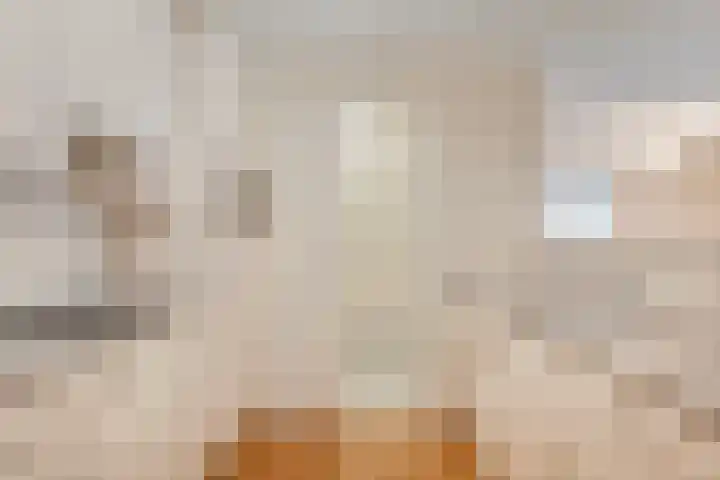 Peter Benensonstraat 7 Goirle thumbnail 20