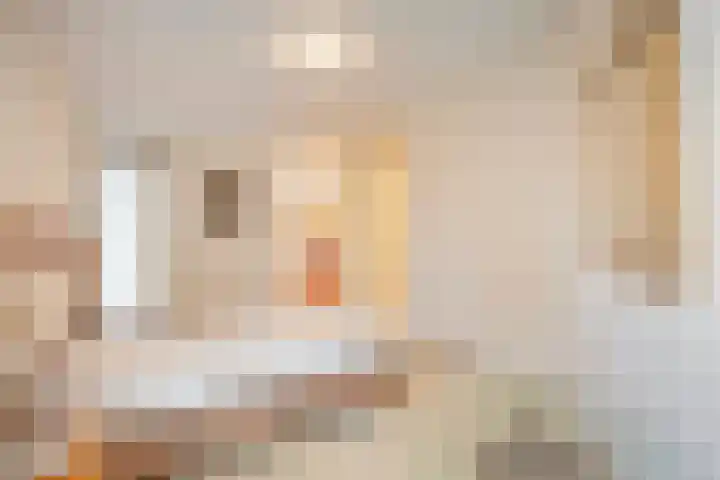 Peter Benensonstraat 7 Goirle thumbnail 29
