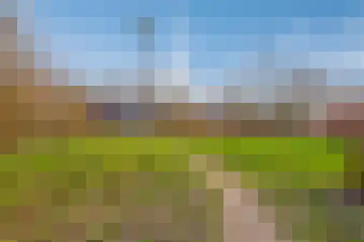 Peter Benensonstraat 7 Goirle thumbnail 36