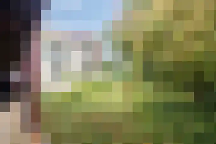 Peter Benensonstraat 7 Goirle thumbnail 4