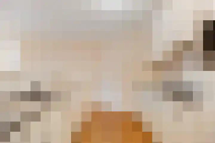 Peter Benensonstraat 7 Goirle thumbnail 6