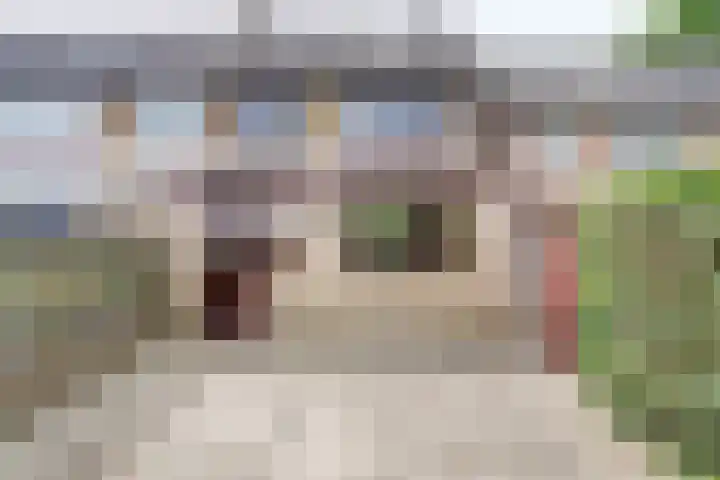 Peter Benoitpark 16 Waalwijk thumbnail 5