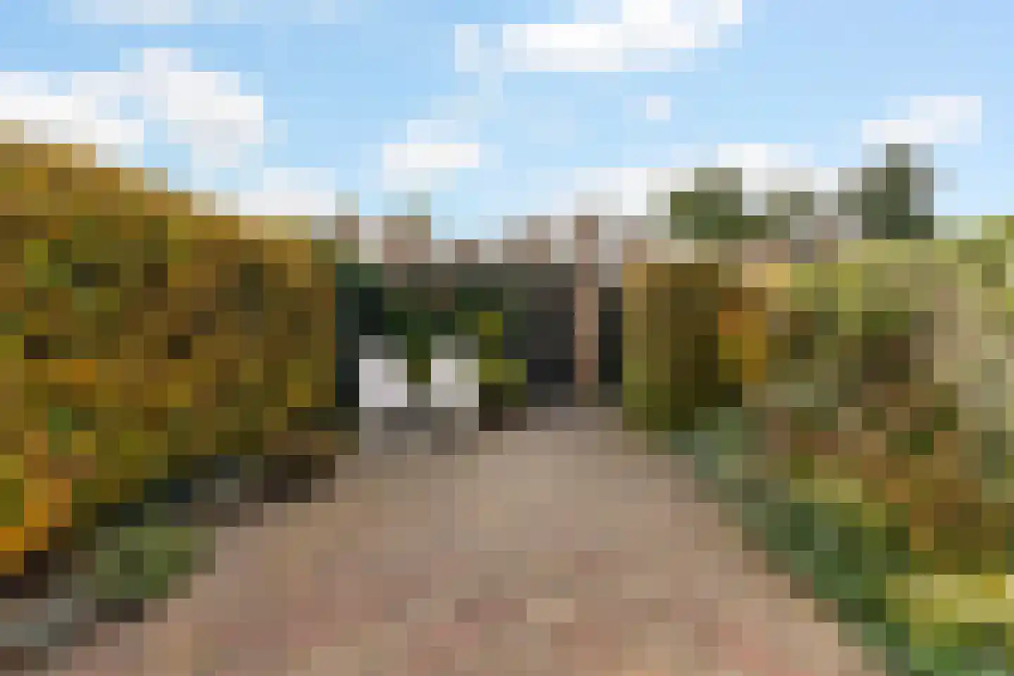Peter Benoitpark 27 Waalwijk thumbnail 23