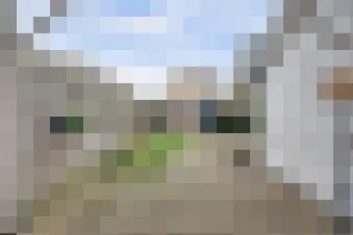 Peter Benoitpark 49 Waalwijk thumbnail 5