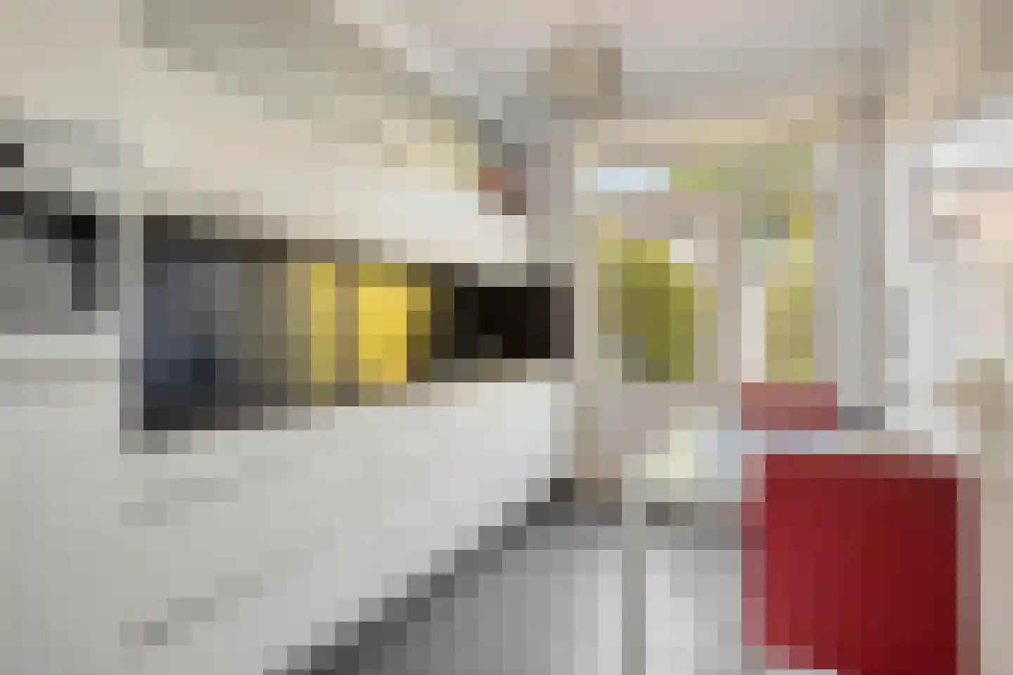 Peter Benoitstraat 17 Bergen op Zoom thumbnail 12