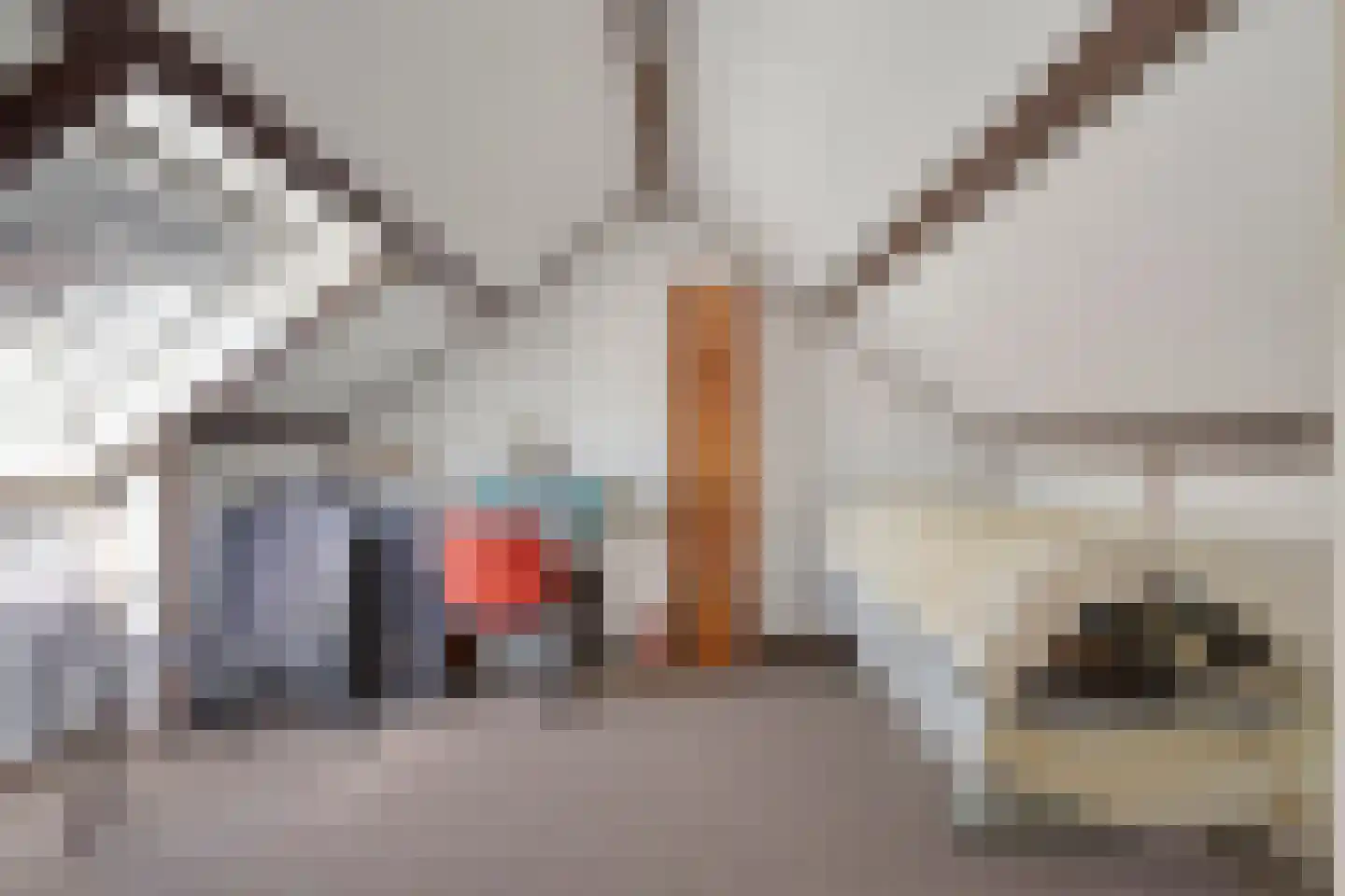 Peter Benoitstraat 17 Bergen op Zoom thumbnail 25