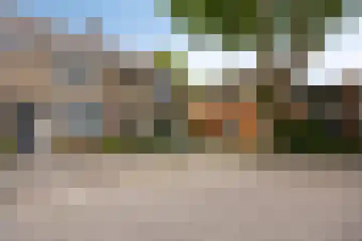 Peter Benoitstraat 19 Bergen op Zoom thumbnail 21