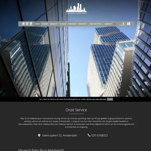 Screenshot van de website van www.peterbruin.nl