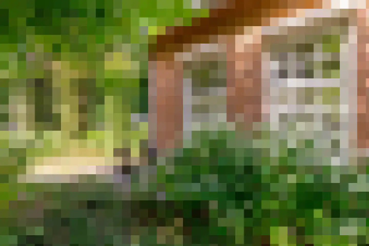 Peter de Gorterstraat 15 Rosmalen thumbnail 10