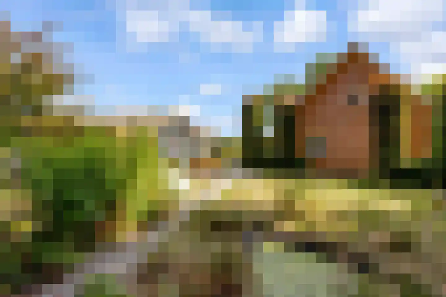 Peter de Gorterstraat 15 Rosmalen thumbnail 11