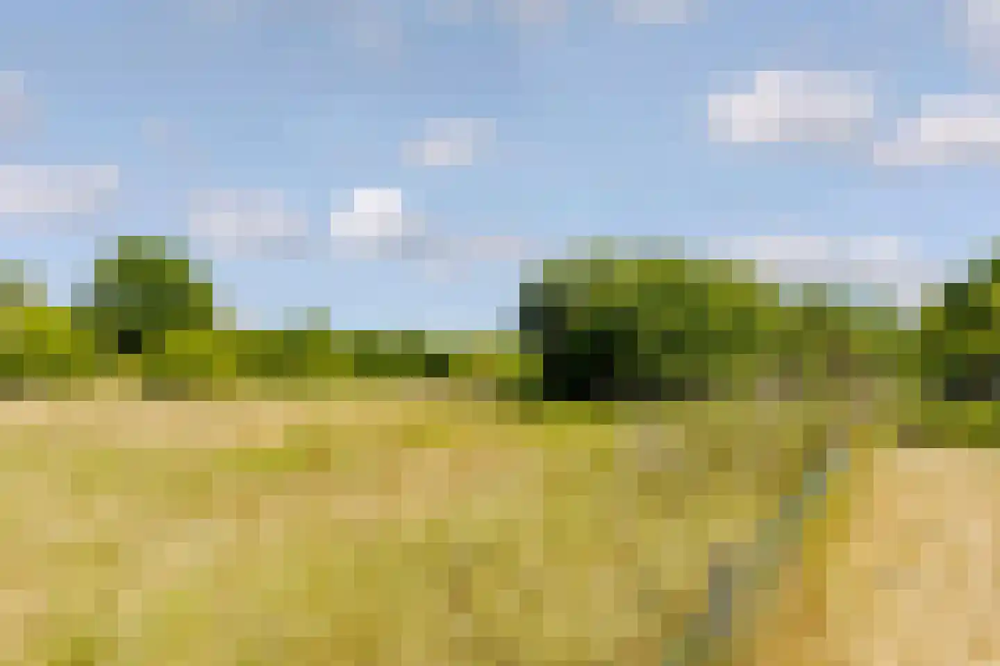 Peter de Gorterstraat 15 Rosmalen thumbnail 13