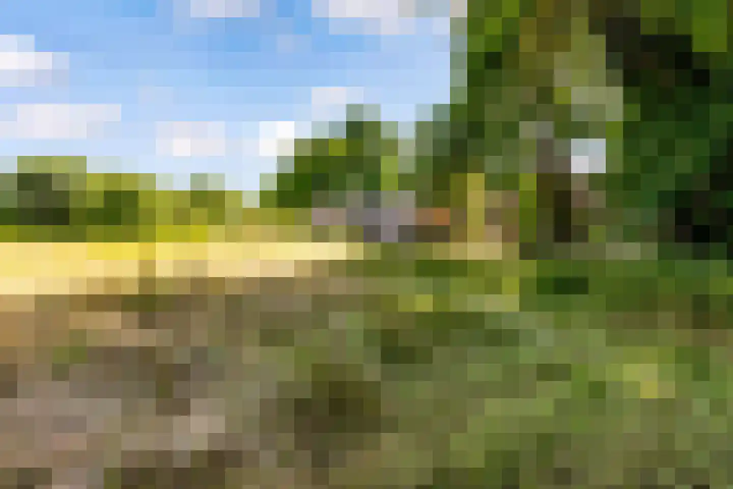 Peter de Gorterstraat 15 Rosmalen thumbnail 17
