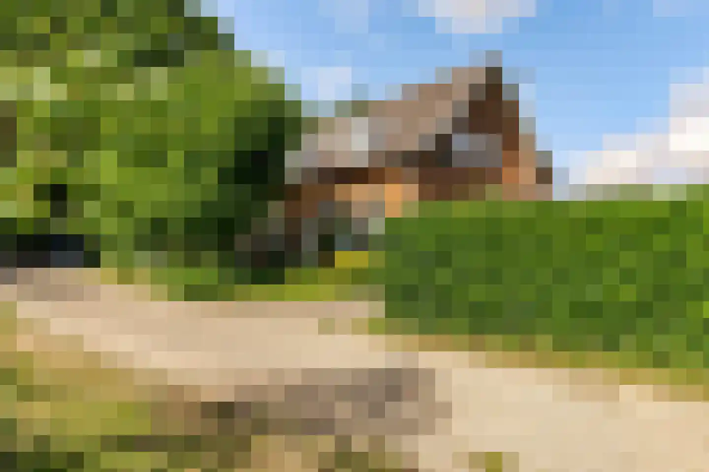 Peter de Gorterstraat 15 Rosmalen thumbnail 18