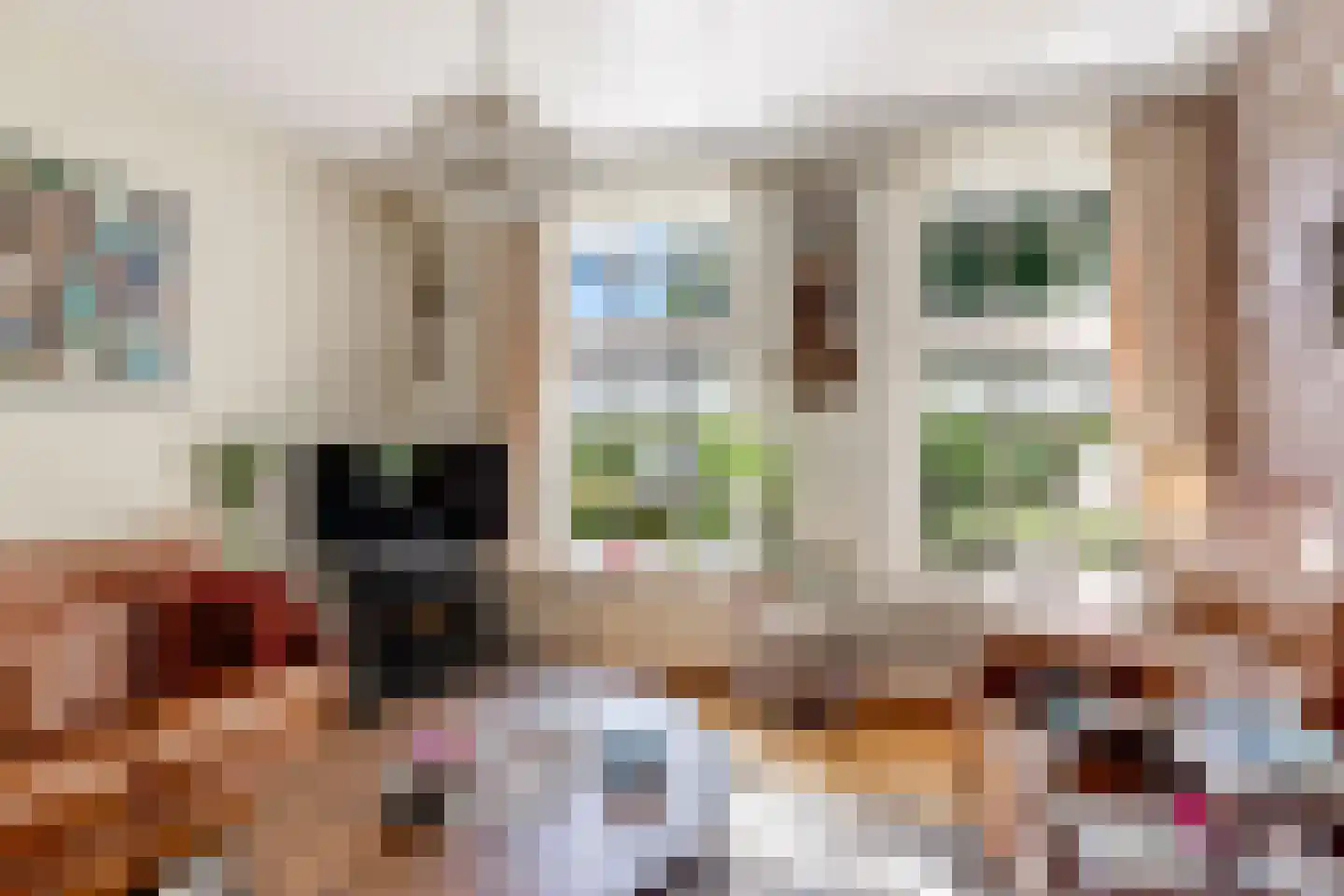 Peter de Gorterstraat 15 Rosmalen thumbnail 20