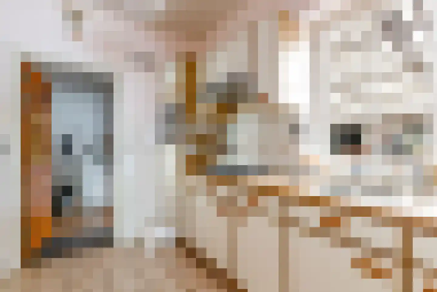 Peter de Gorterstraat 15 Rosmalen thumbnail 22