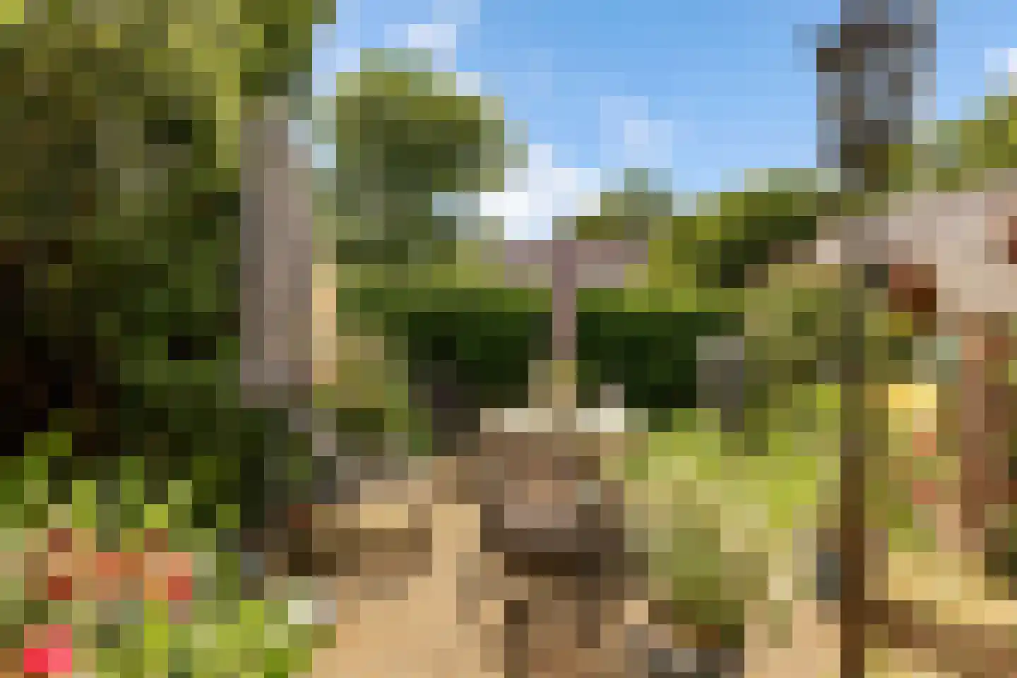 Peter de Gorterstraat 15 Rosmalen thumbnail 27