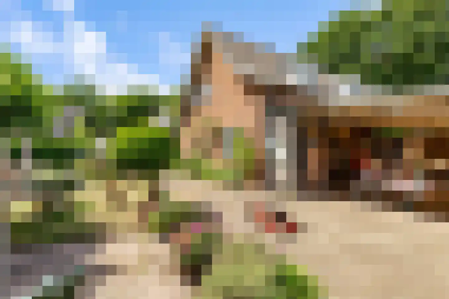 Peter de Gorterstraat 15 Rosmalen thumbnail 28