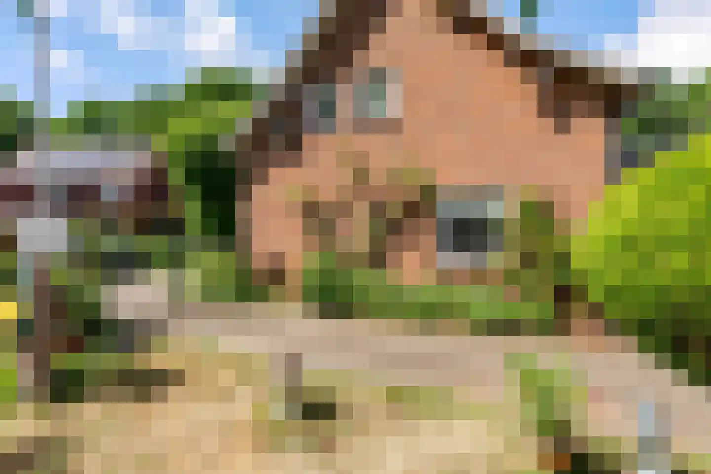 Peter de Gorterstraat 15 Rosmalen thumbnail 31