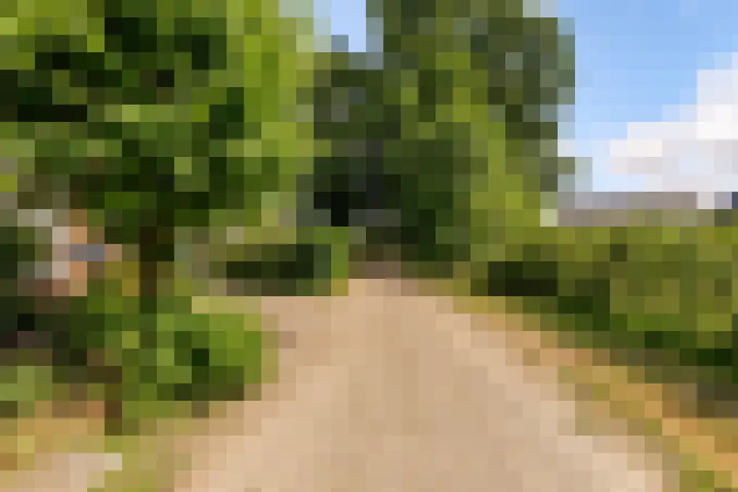 Peter de Gorterstraat 15 Rosmalen thumbnail 32