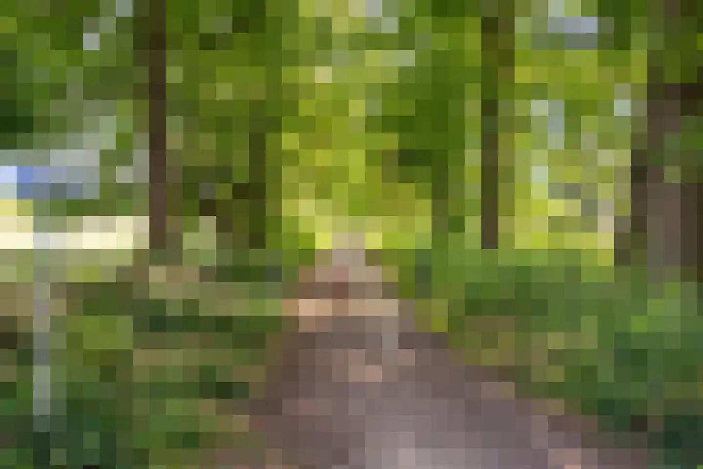 Peter de Gorterstraat 15 Rosmalen thumbnail 33