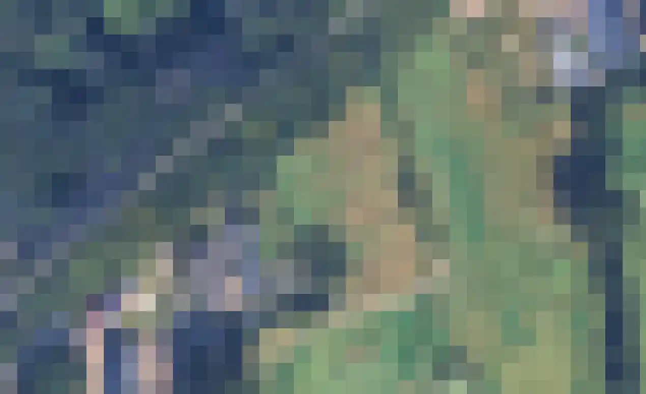 Peter de Gorterstraat 15 Rosmalen thumbnail 34