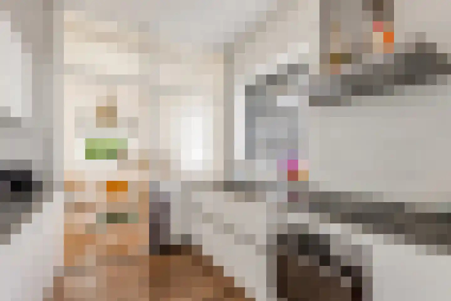 Peter de Gorterstraat 15 Rosmalen thumbnail 4