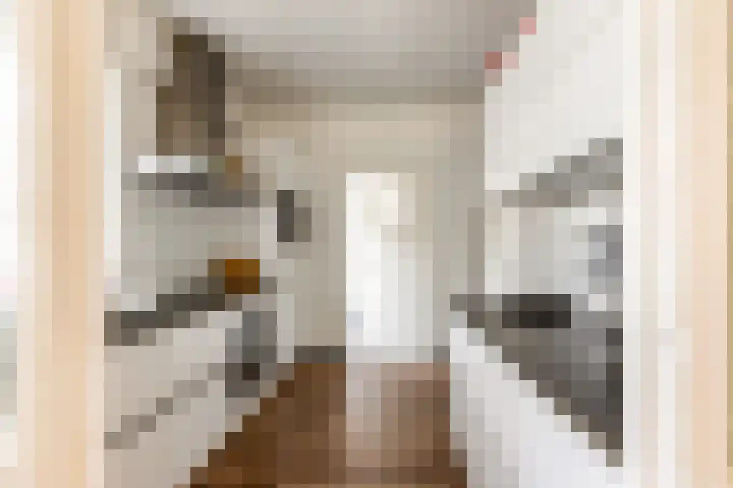 Peter de Gorterstraat 15 Rosmalen thumbnail 5