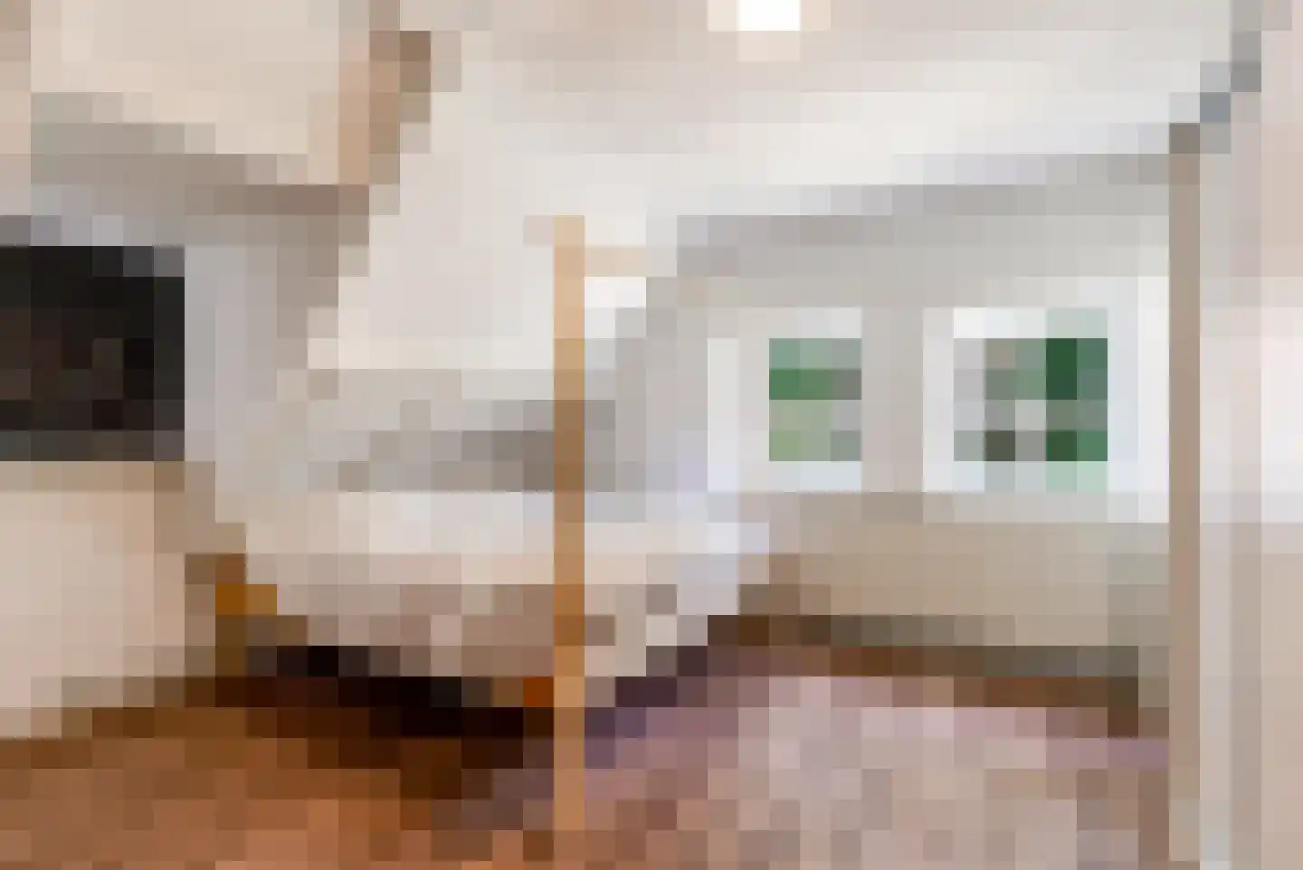 Peter de Gorterstraat 15 Rosmalen thumbnail 6