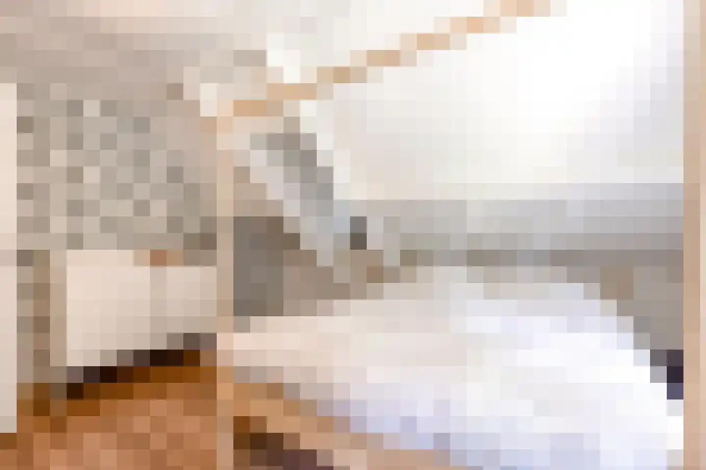 Peter de Gorterstraat 15 Rosmalen thumbnail 7