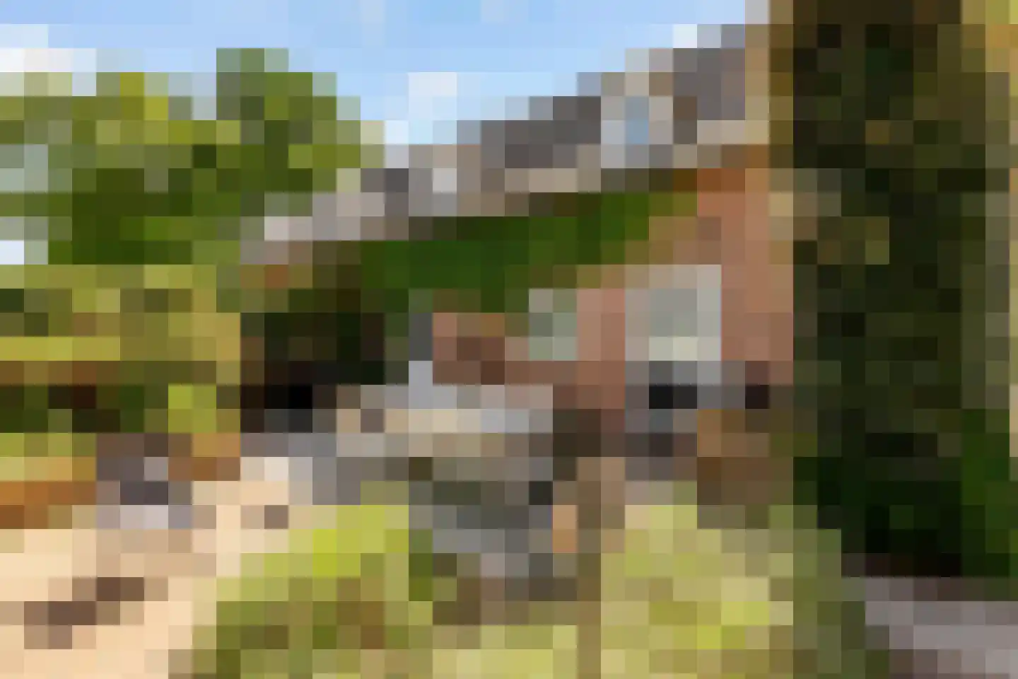 Peter de Gorterstraat 15 Rosmalen thumbnail 9