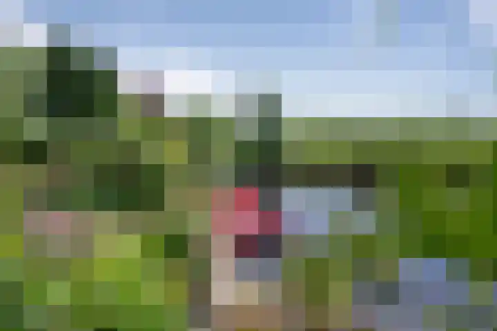 Foto van Peter de Mos