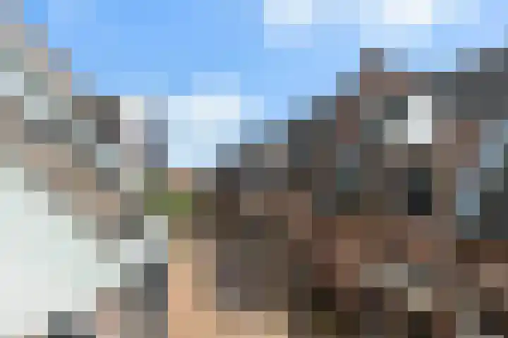 Peter Dorleijnplein 4 Bunschoten-Spakenburg thumbnail 31