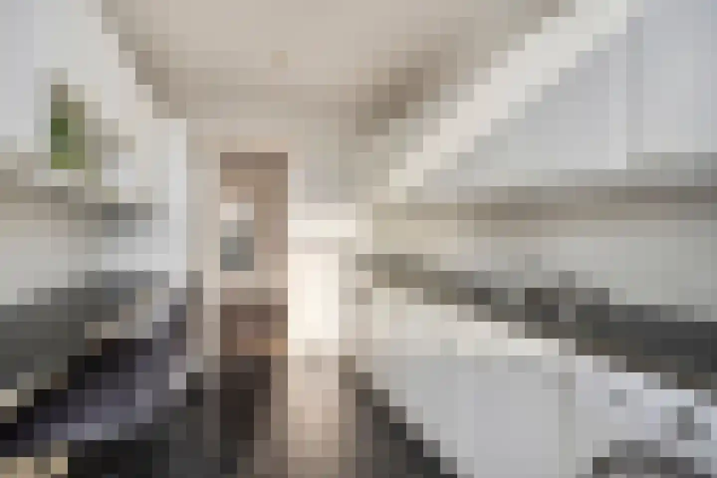 Peter Duymstraat 12 Castricum thumbnail 11