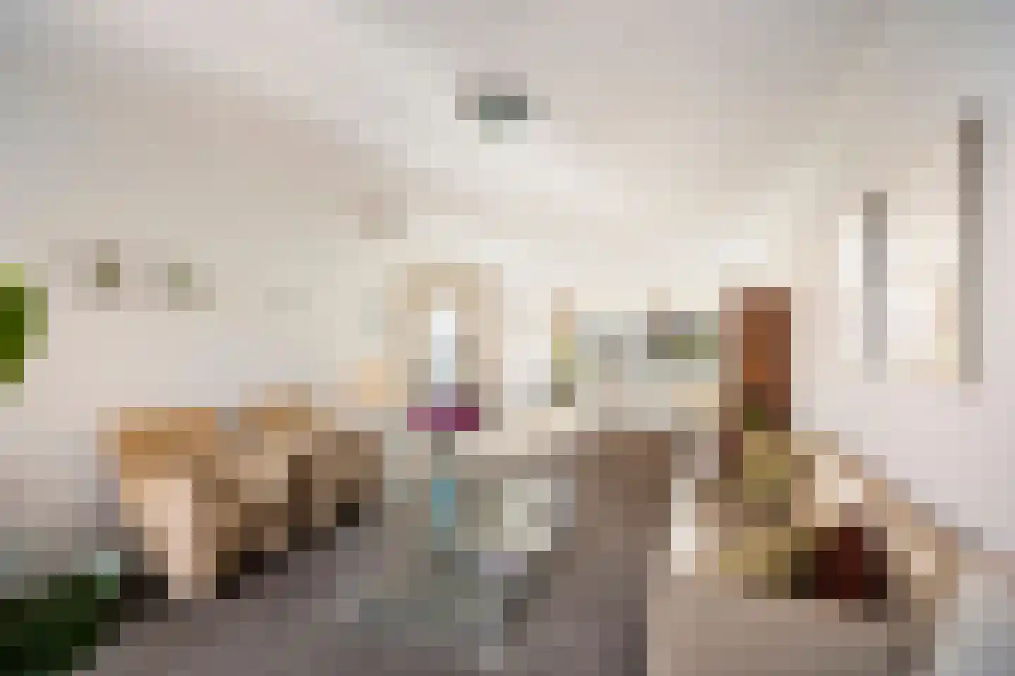 Peter Duymstraat 12 Castricum thumbnail 4