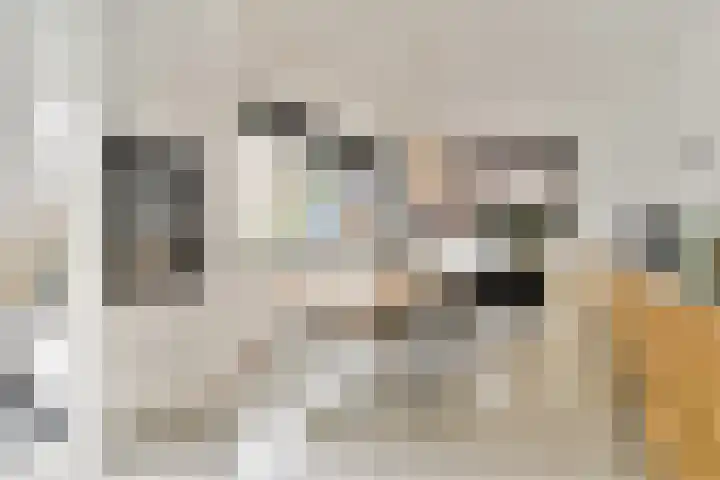 Peter Martensstraat 45 Amsterdam thumbnail 4