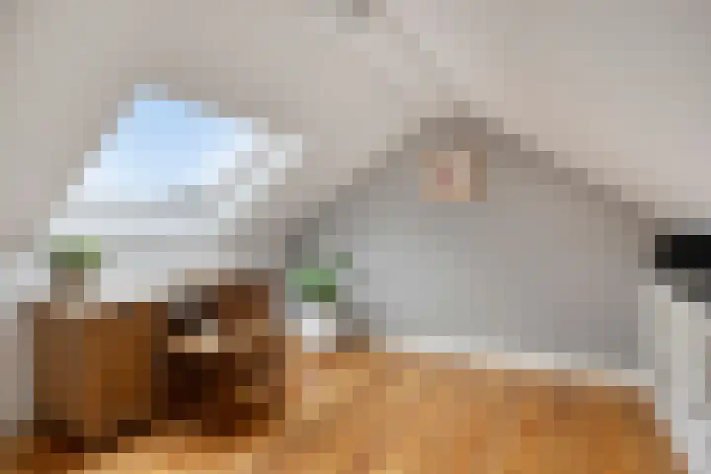 Peter Mulderstraat 11 Bathmen thumbnail 21