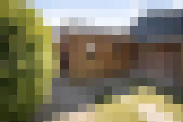 Peter Mulderstraat 15 Bathmen thumbnail 31