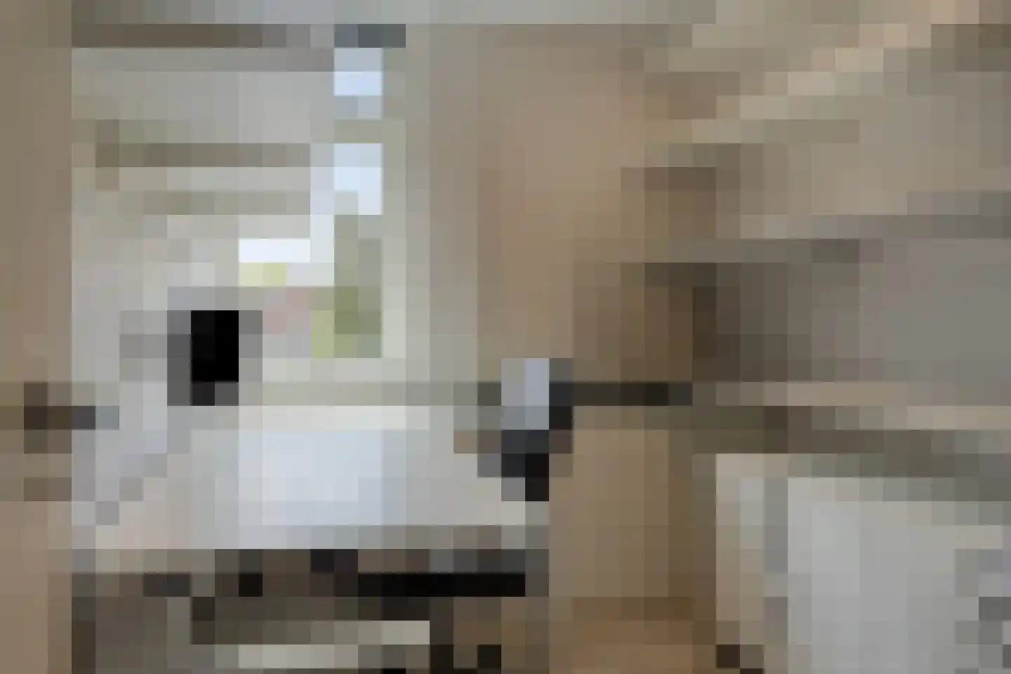 Peter Mulderstraat 3 Bathmen thumbnail 17