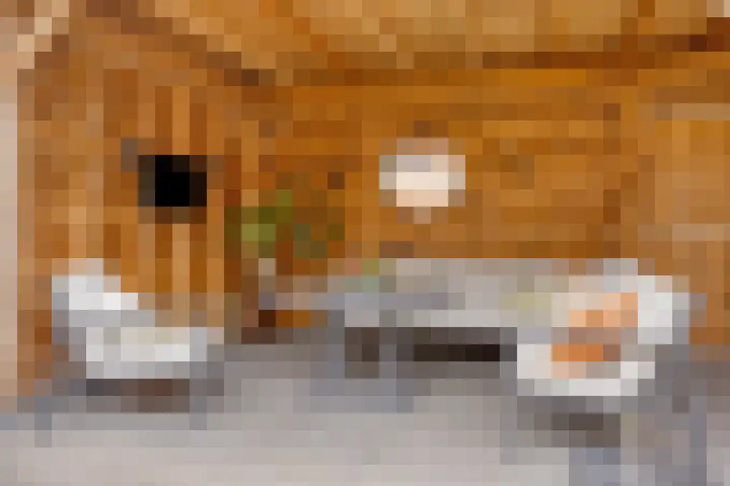 Peter Mulderstraat 3 Bathmen thumbnail 25